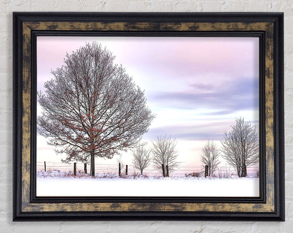 Trees And Fence Winter Framed Print