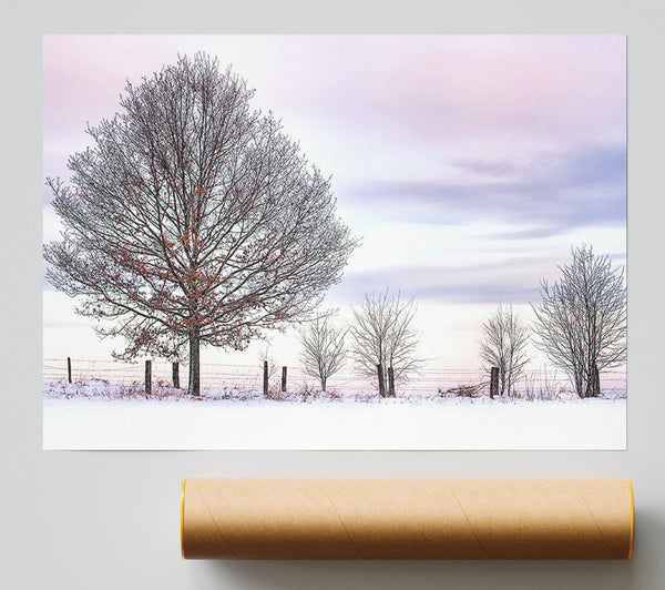 Trees And Fence Winter Print