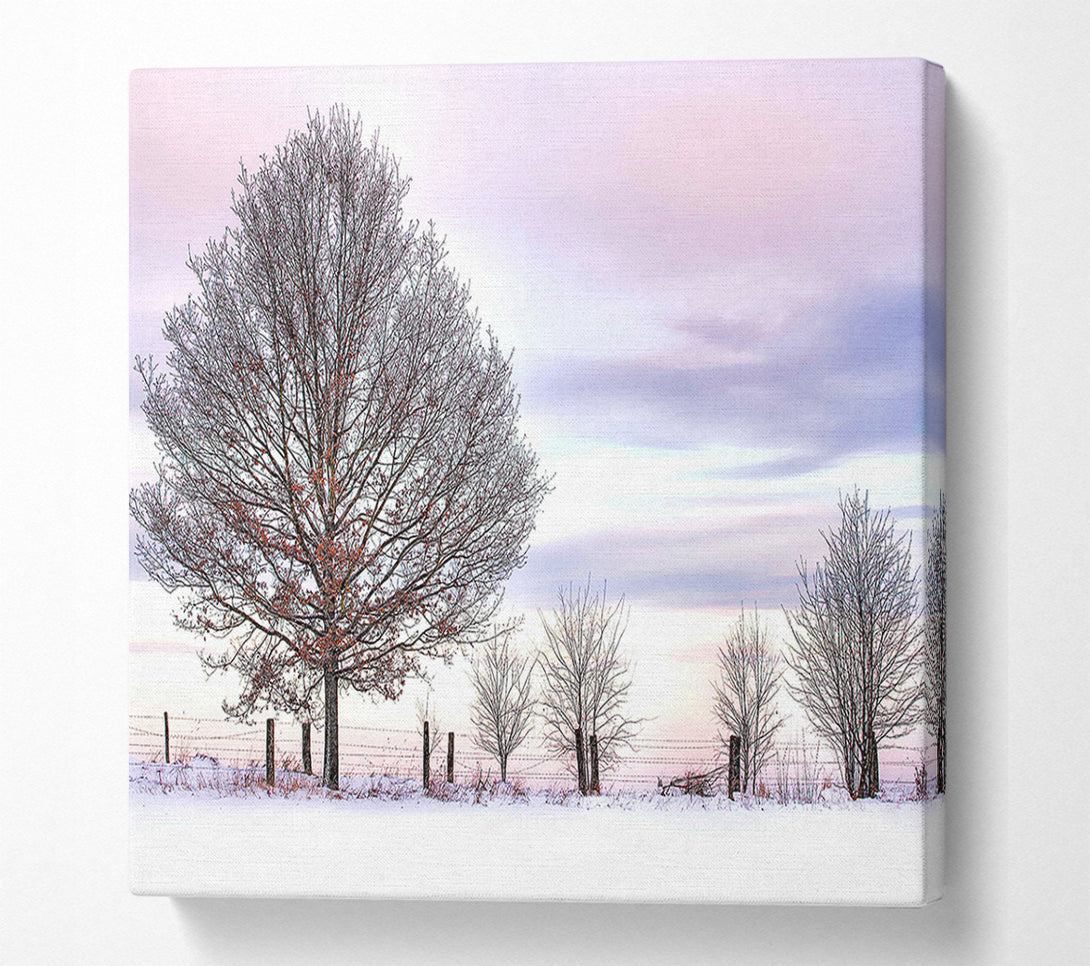  A Canvas Print of Trees And Fence Winter Canvas Wall Art