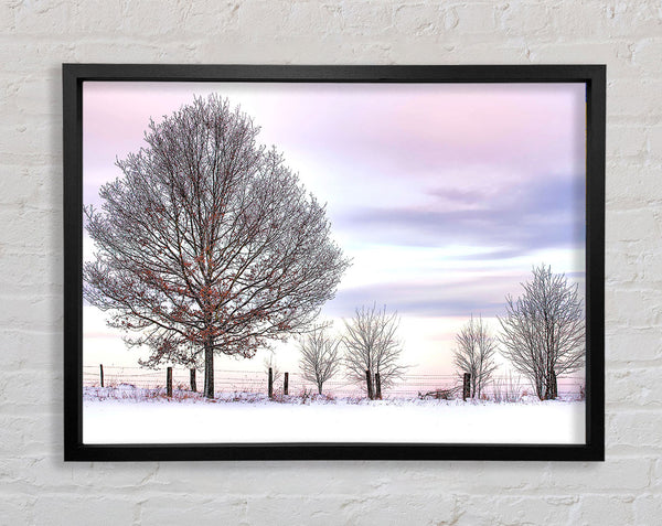Trees And Fence Winter Framed Print