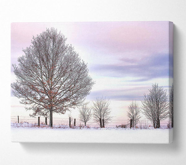  A Canvas Print of Trees And Fence Winter Canvas Wall Art