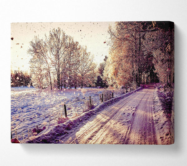  A Canvas Print of Pathway Winter Canvas Print