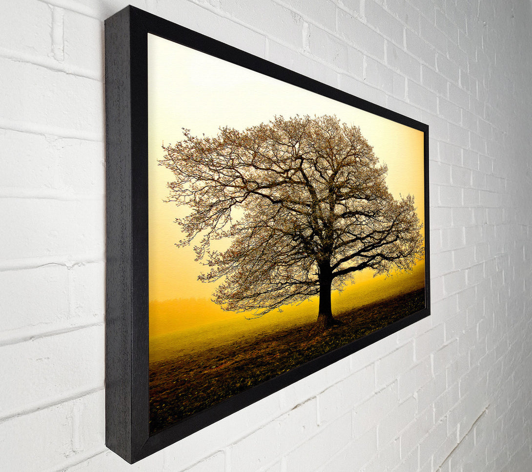  A Canvas Print of Beautiful Dusk Tree Canvas Wall Art