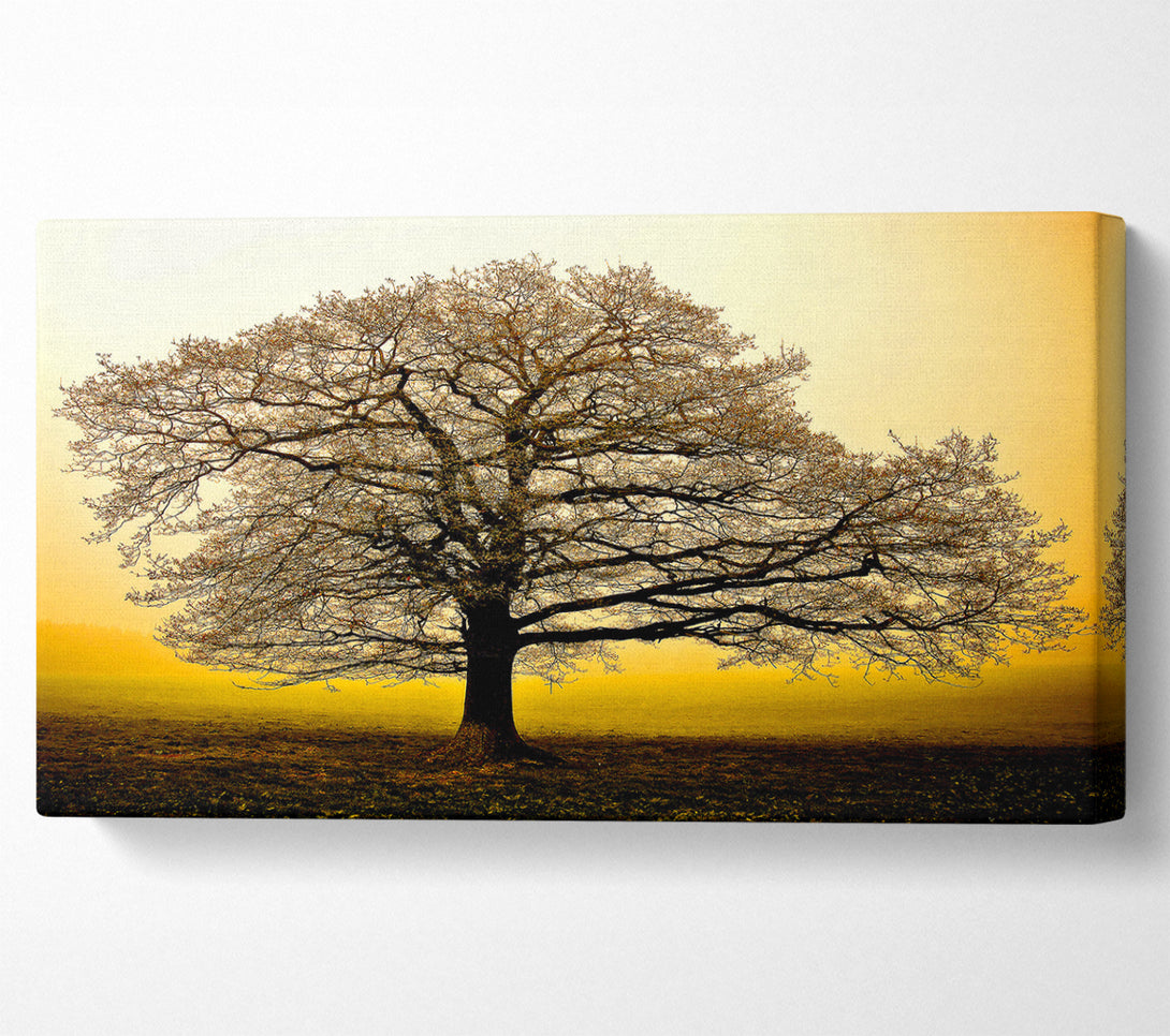  A Canvas Print of Beautiful Dusk Tree Canvas Wall Art