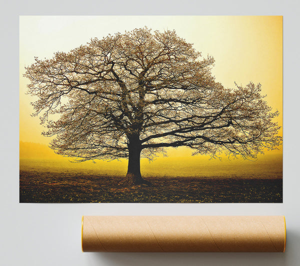 Beautiful Dusk Tree Print
