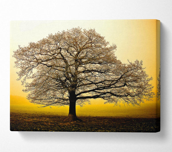  A Canvas Print of Beautiful Dusk Tree Canvas Wall Art