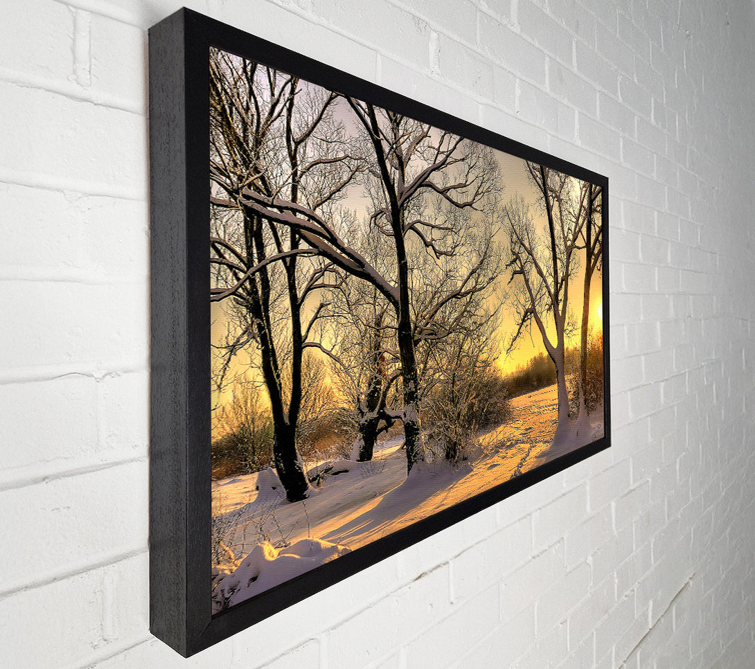  A Canvas Print of Footsteps In Snow Canvas Art