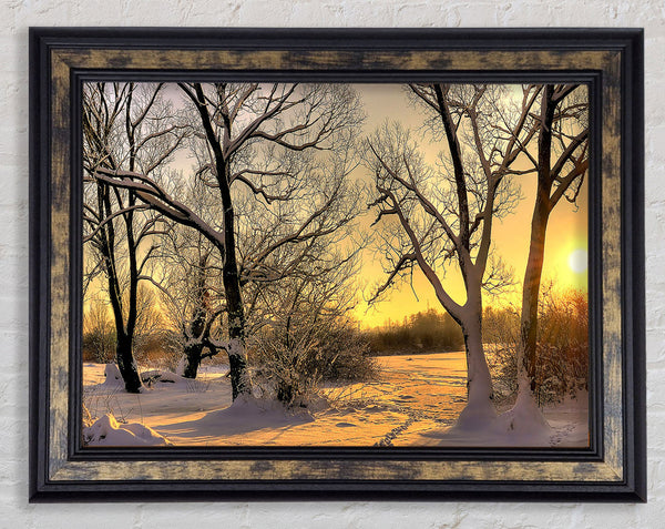 Footsteps In Snow Framed Print
