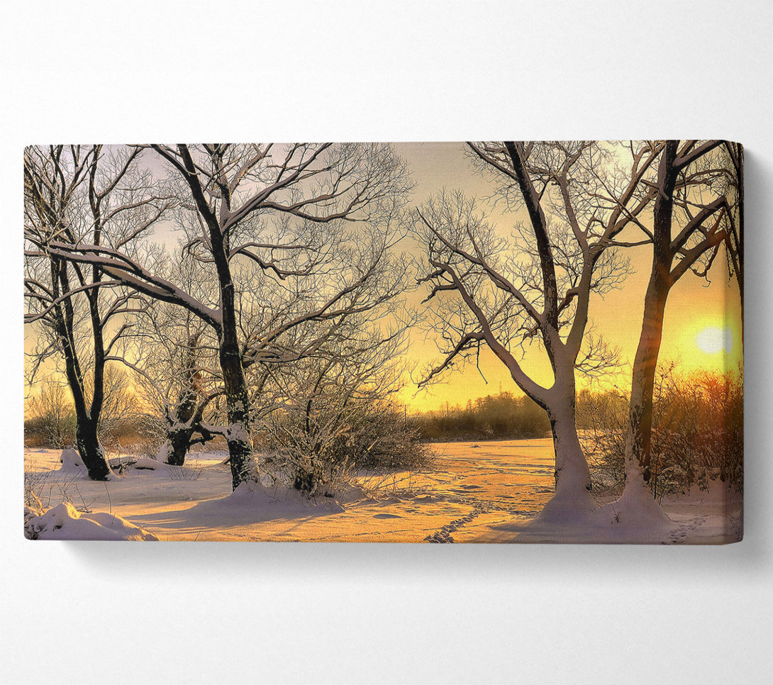  A Canvas Print of Footsteps In Snow Canvas Art