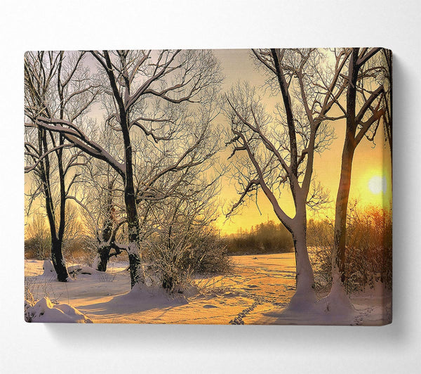  A Canvas Print of Footsteps In Snow Canvas Art