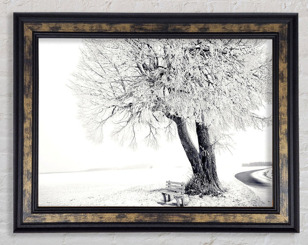 Bench Under Tree Winter Framed Print