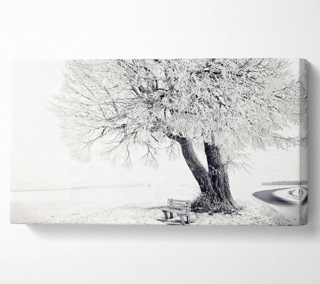  A Canvas Print of Bench Under Tree Winter Canvas Wall Art