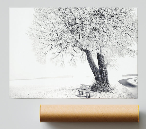 Bench Under Tree Winter Poster