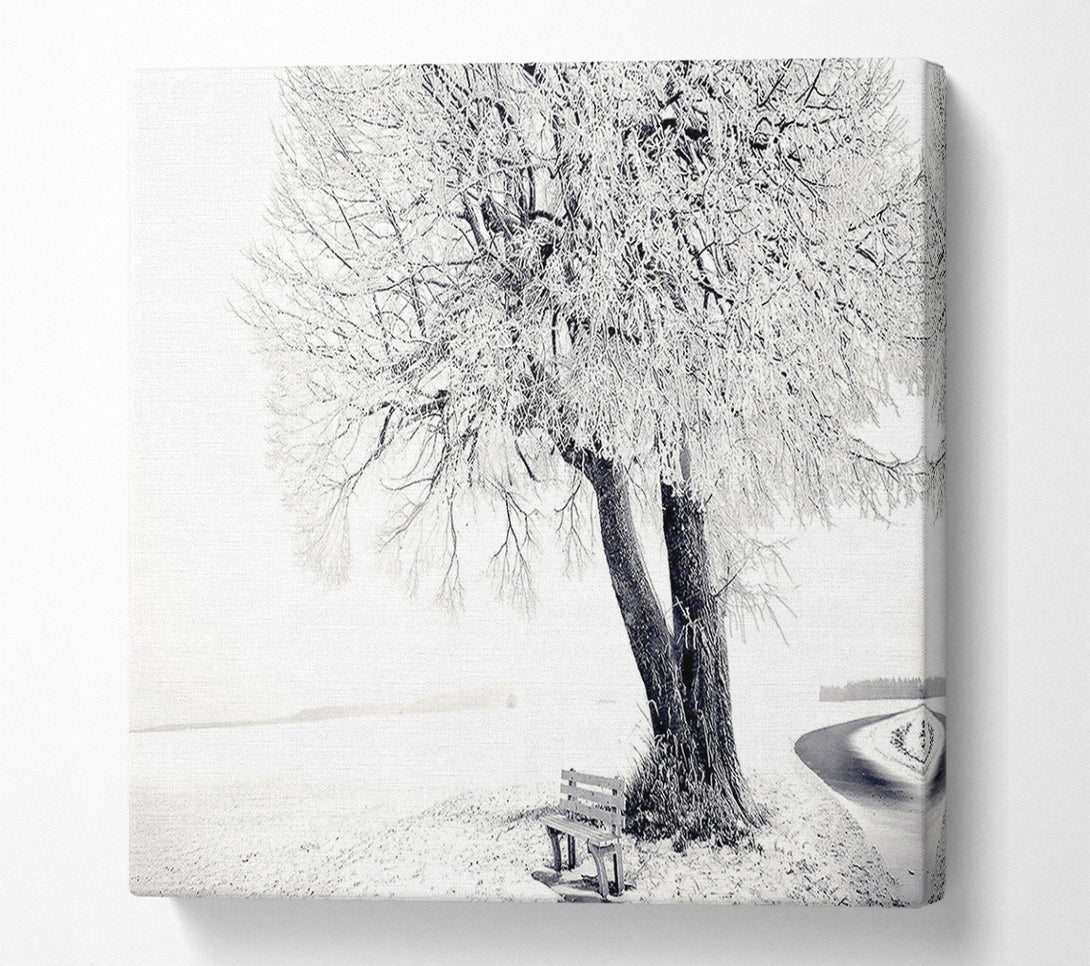  A Canvas Print of Bench Under Tree Winter Canvas Wall Art