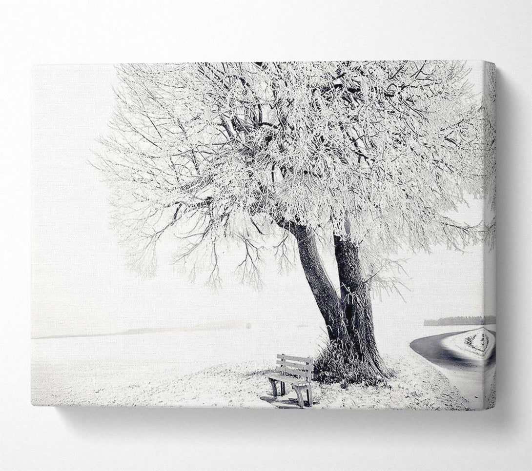  A Canvas Print of Bench Under Tree Winter Canvas Wall Art