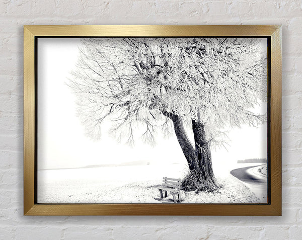 Bank unter Baum im Winter