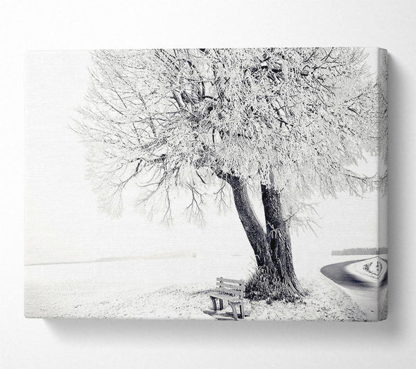  A Canvas Print of Bench Under Tree Winter Canvas Wall Art