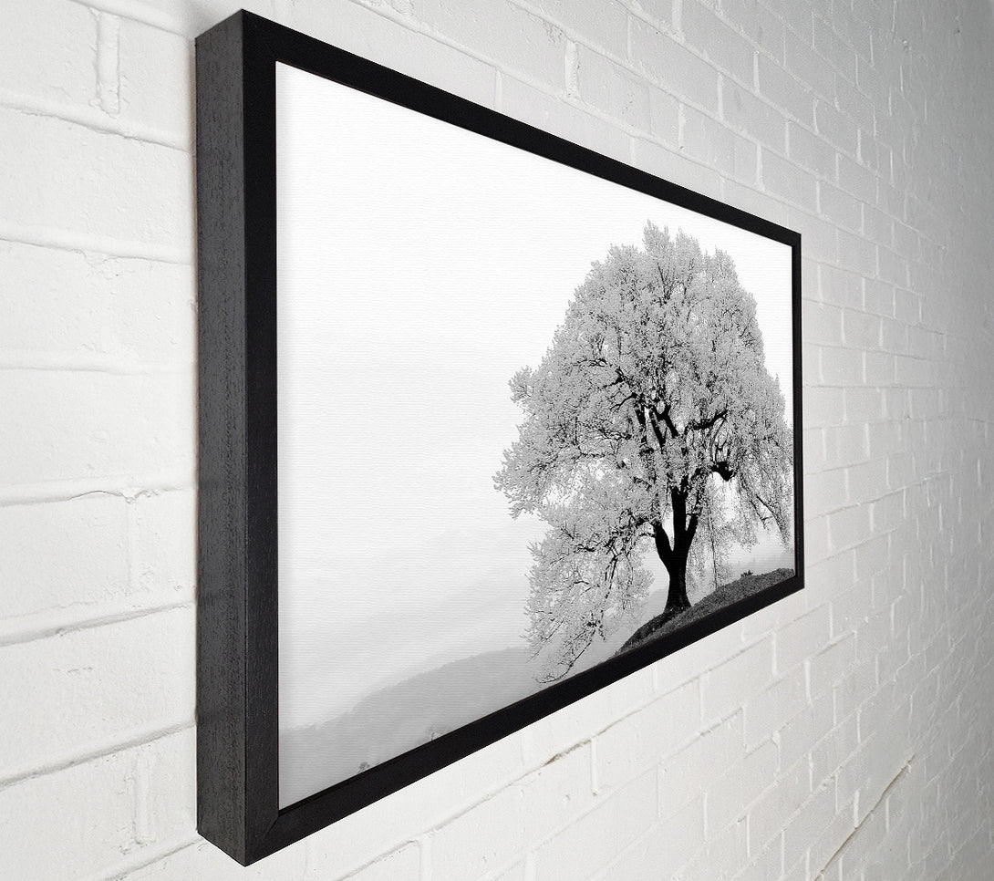  A Canvas Print of Blossomed Tree Canvas Print