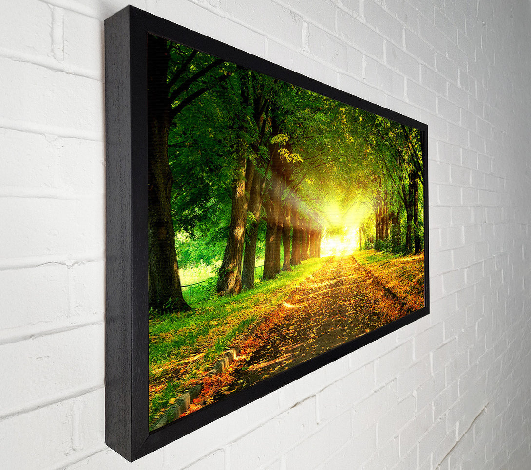  A Canvas Print of Autumn Path Canvas Print