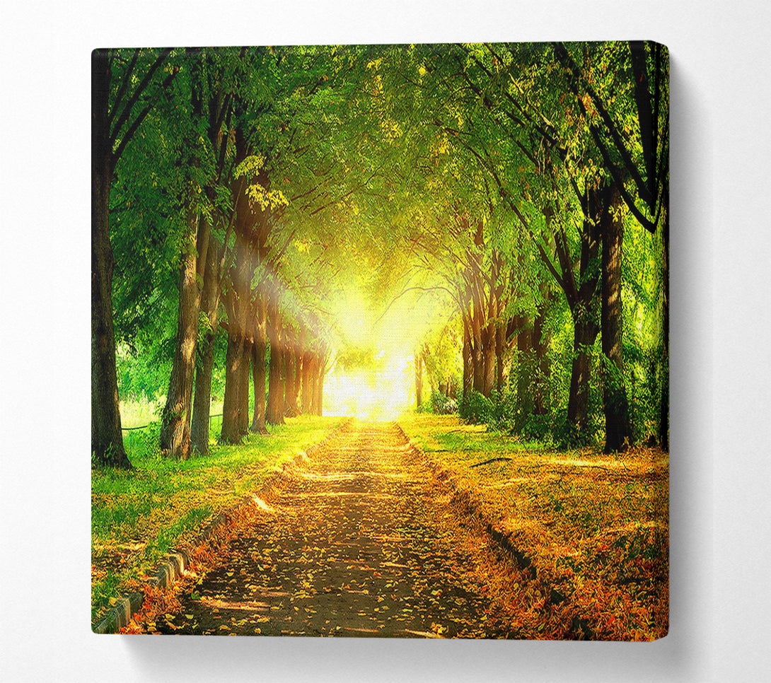  A Canvas Print of Autumn Path Canvas Print
