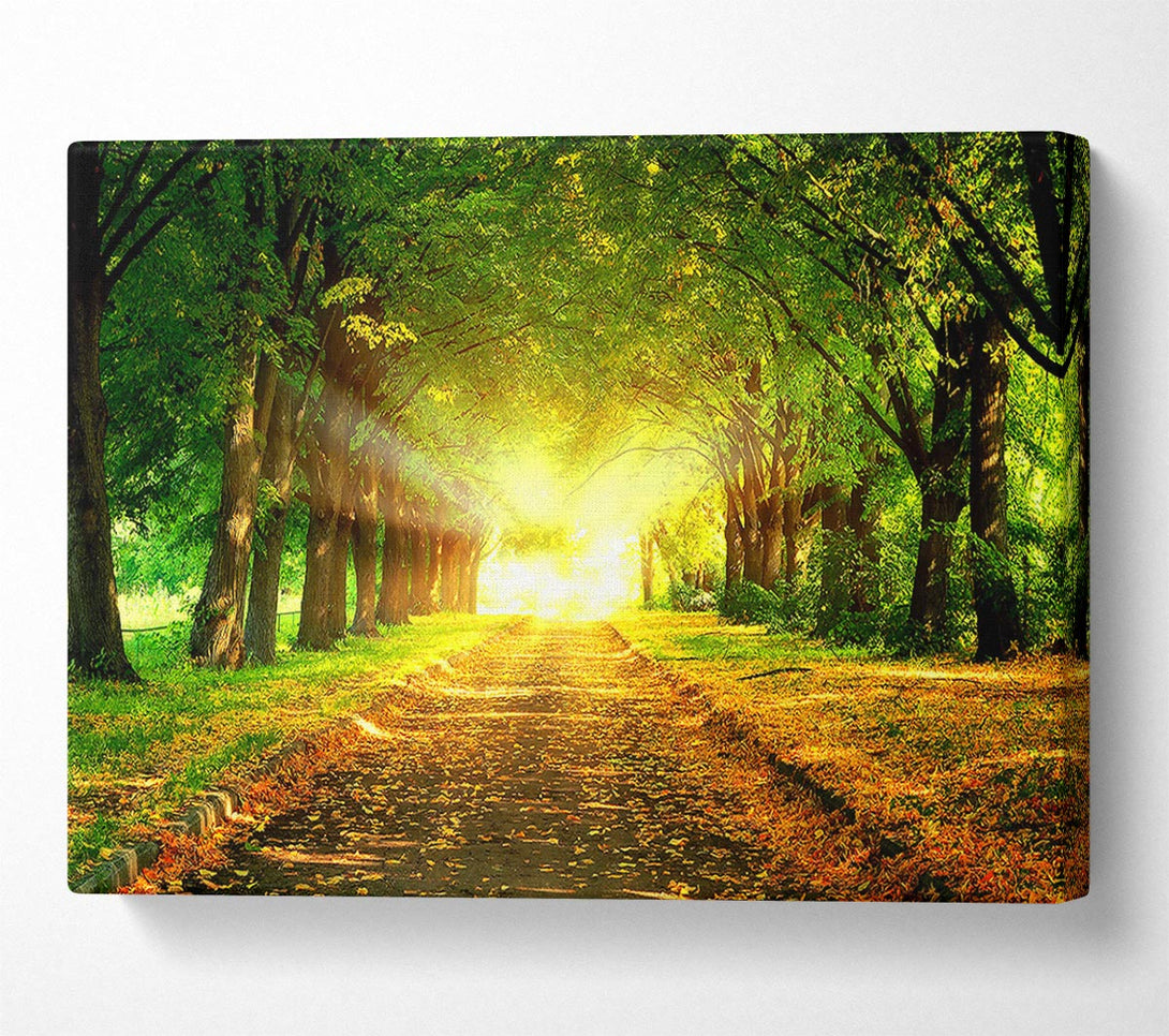  A Canvas Print of Autumn Path Canvas Print