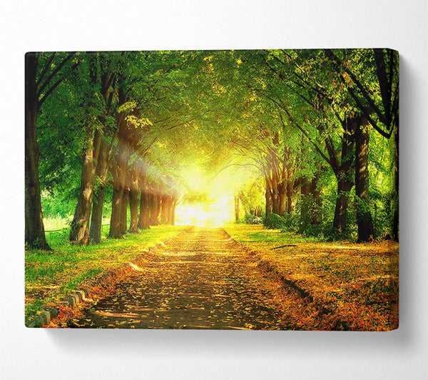  A Canvas Print of Autumn Path Canvas Print