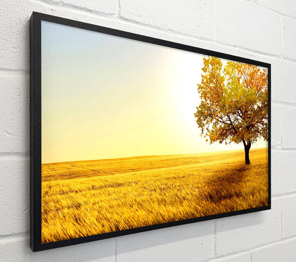 Golden Trees Fields