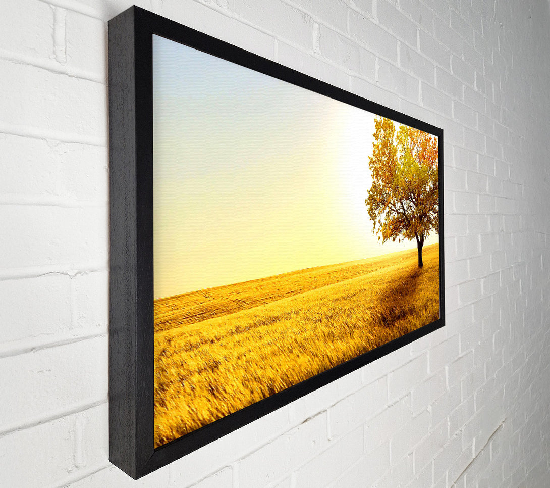  A Canvas Print of Golden Trees Fields Canvas Art