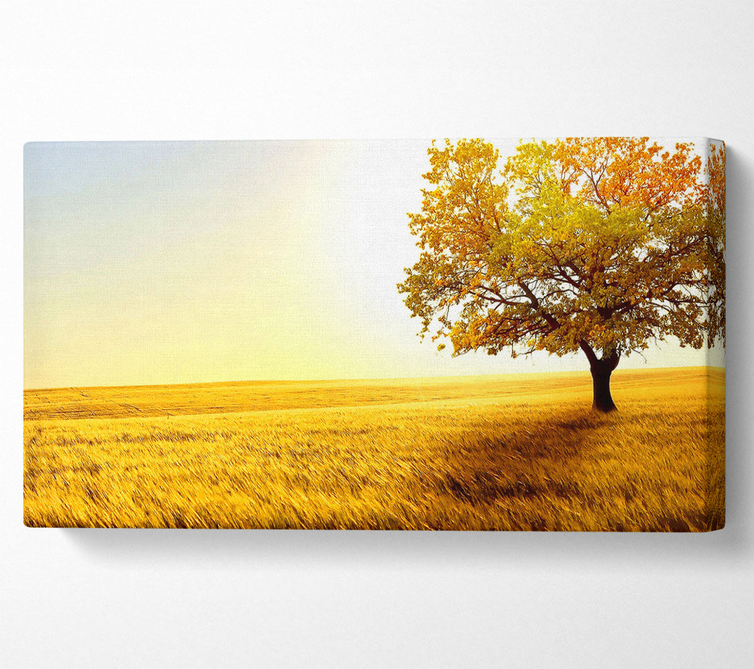  A Canvas Print of Golden Trees Fields Canvas Art