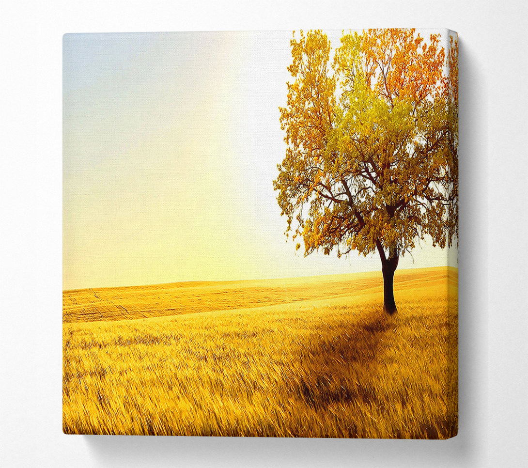  A Canvas Print of Golden Trees Fields Canvas Art