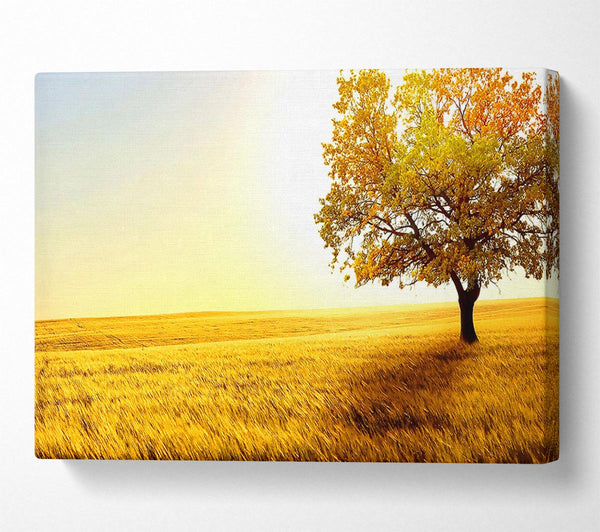  A Canvas Print of Golden Trees Fields Canvas Art