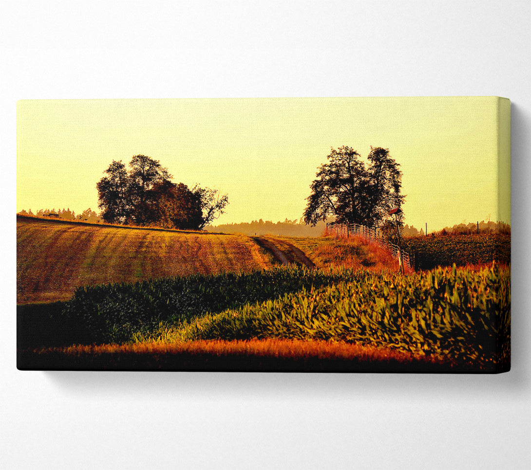  A Canvas Print of Summer Day Canvas Print