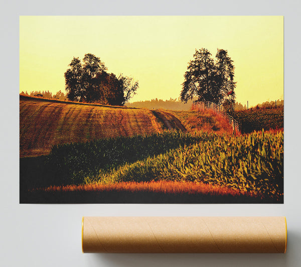 Summer Day Poster