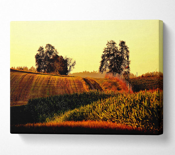  A Canvas Print of Summer Day Canvas Print