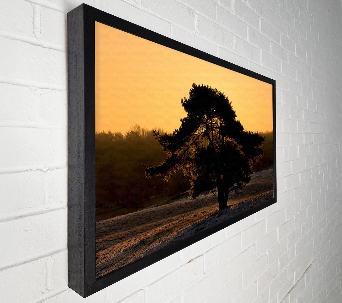  A Canvas Print of Stunning Old Tree At Dusk Canvas Wall Art