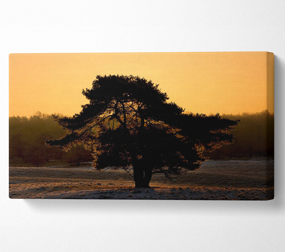  A Canvas Print of Stunning Old Tree At Dusk Canvas Wall Art