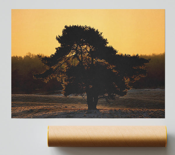 Stunning Old Tree At Dusk Print