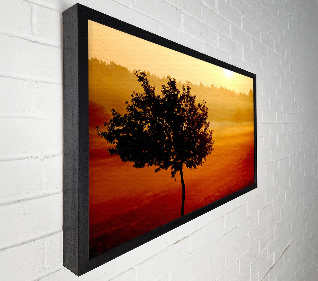  A Canvas Print of Blazing Sun Tree Canvas Print