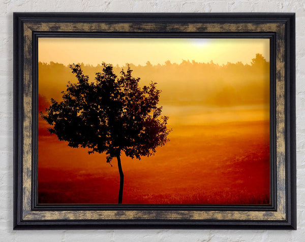 Blazing Sun Tree Framed Print