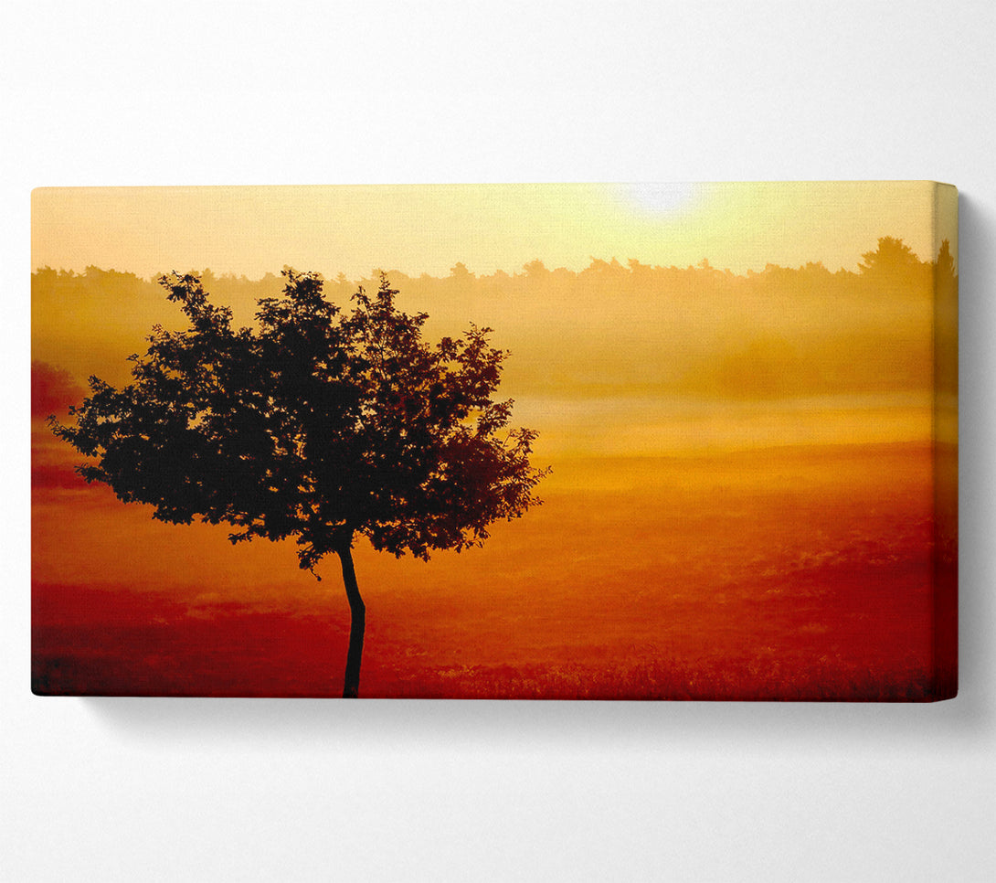  A Canvas Print of Blazing Sun Tree Canvas Print