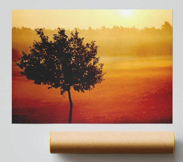 Blazing Sun Tree Giclee Print