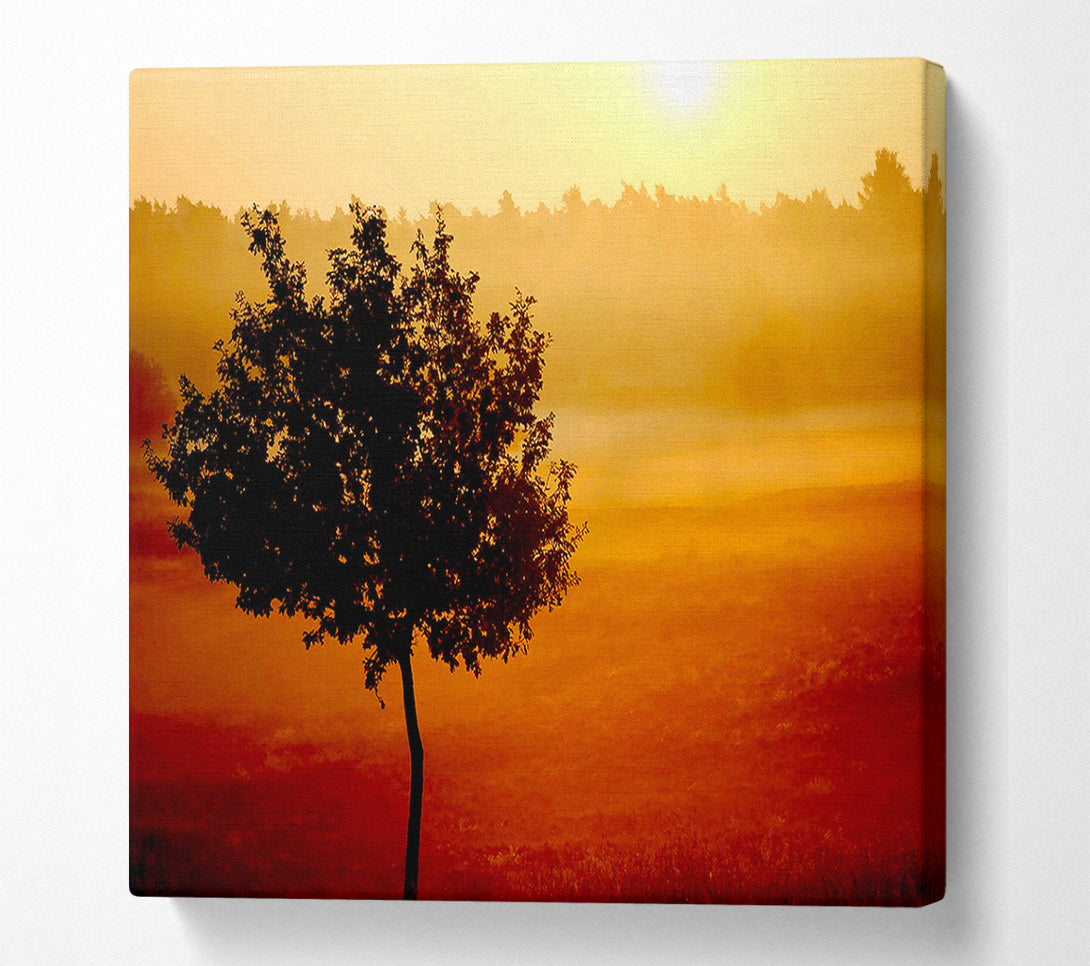  A Canvas Print of Blazing Sun Tree Canvas Print