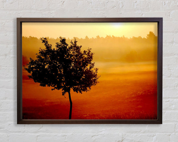 Blazing Sun Tree Framed Print