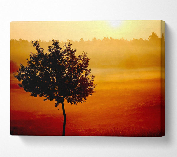  A Canvas Print of Blazing Sun Tree Canvas Print