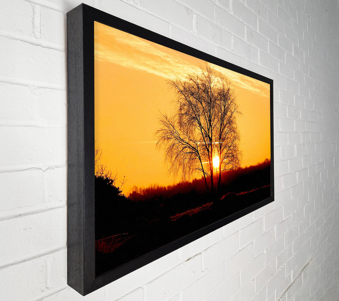  A Canvas Print of Sun Through The Golden Tree Canvas Art