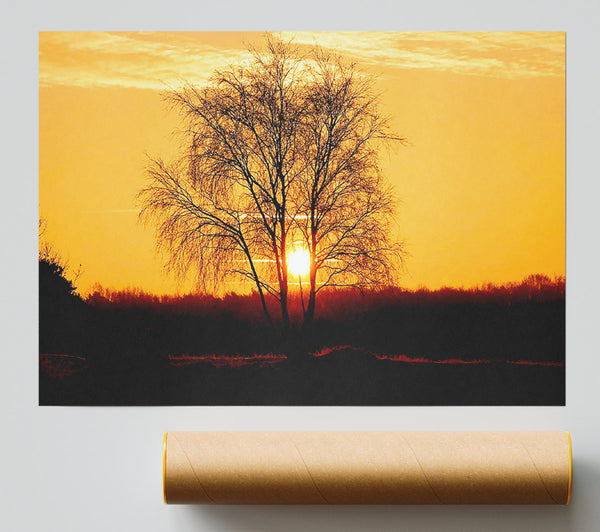 Sun Through The Golden Tree Poster