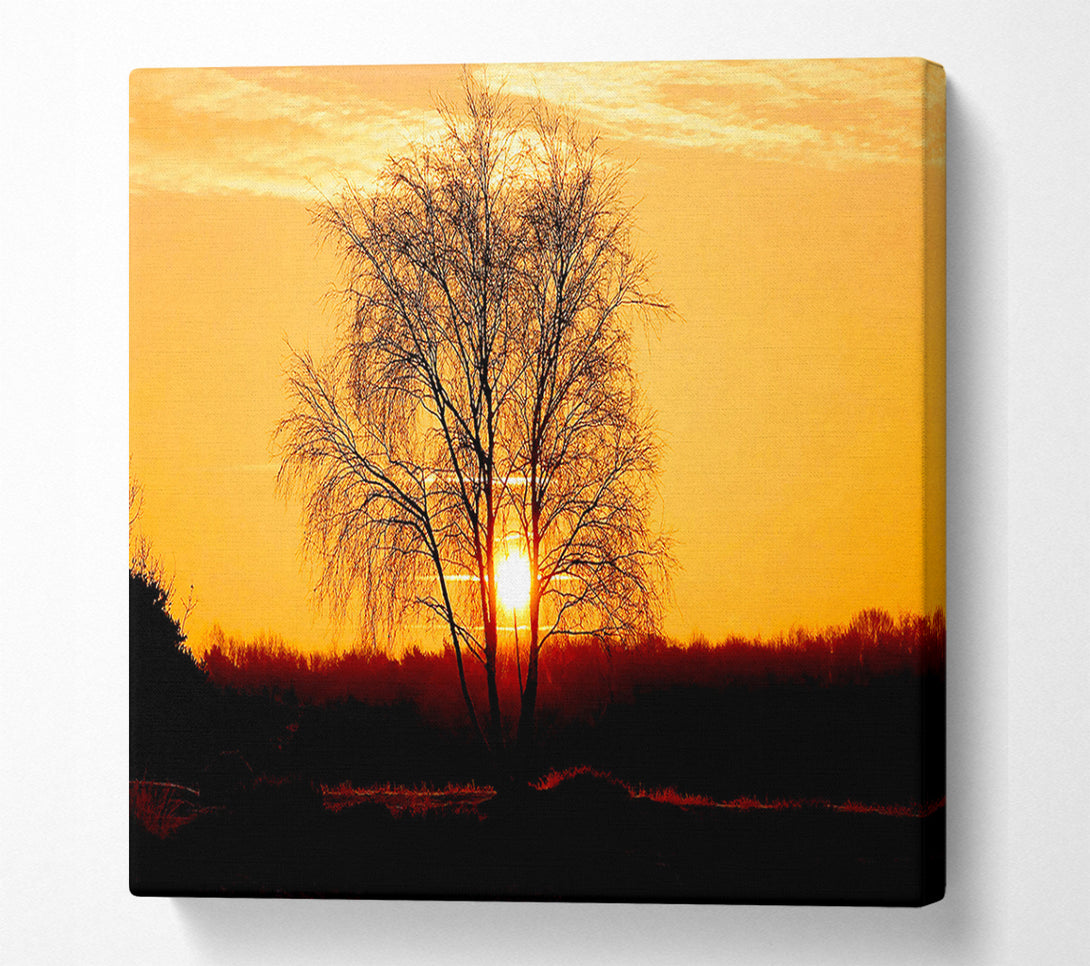  A Canvas Print of Sun Through The Golden Tree Canvas Art