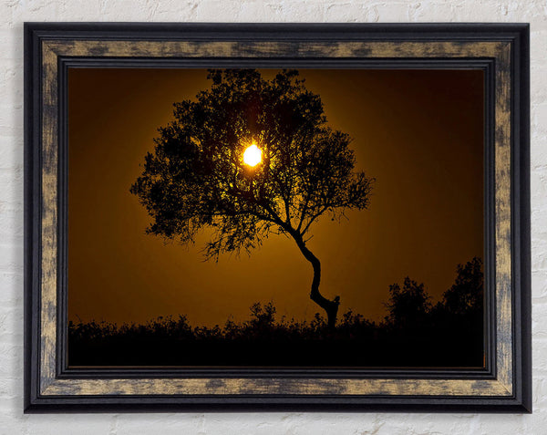 Chocolate Sunset Tree Framed Print