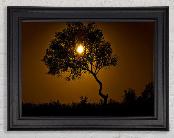 Chocolate Sunset Tree Framed Print