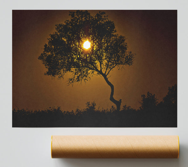 Chocolate Sunset Tree Poster